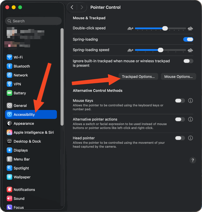 Systemeinstellungen mit Accessibility in der Seitenleiste und geöffneter Seite Pointer Control. Pfeile zeigen auf Accessibility in der Seitenleiste und auf die Schaltfläche Trackpad Options unterhalb der Einstellungen für Maus und Trackpad.